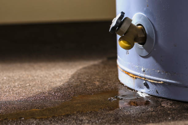 Best Water damage contractors near me  in Chatsworth, GA