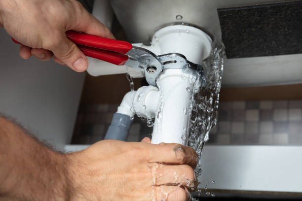 Best Professional water damage repair  in Chatsworth, GA