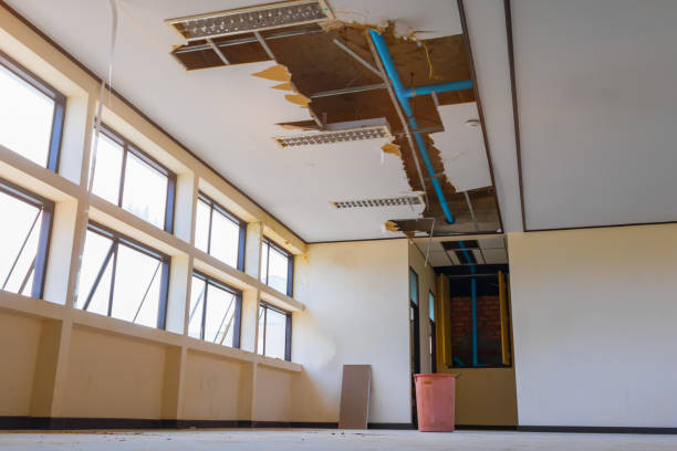 Best Professional water damage repair  in Chatsworth, GA
