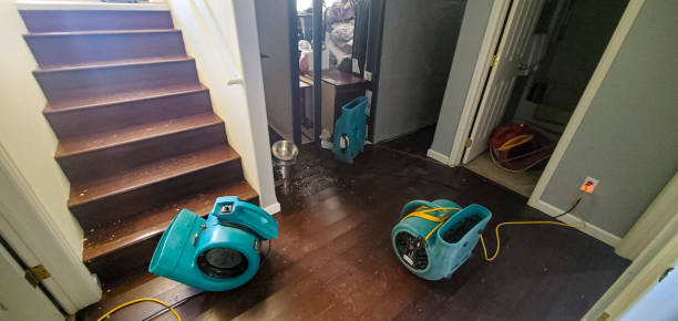 Best Carpet water damage restoration  in Chatsworth, GA