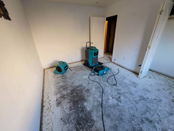 Best Mold removal after water damage  in Chatsworth, GA