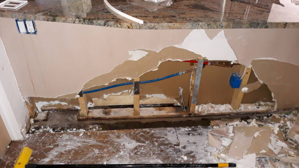 Best Flooded house restoration  in Chatsworth, GA