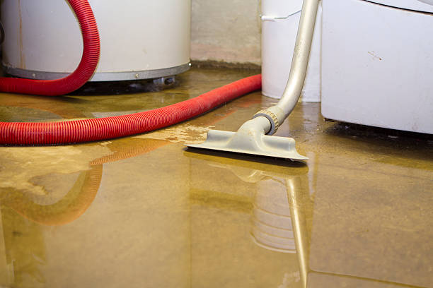 Best Local water damage restoration  in Chatsworth, GA
