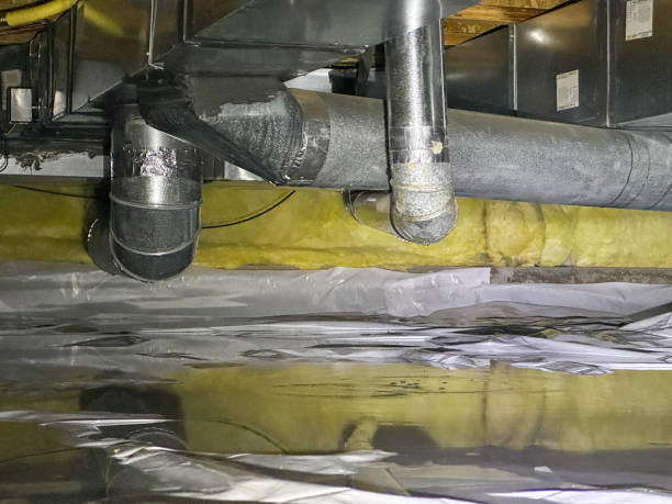 Best Basement water damage restoration  in Chatsworth, GA