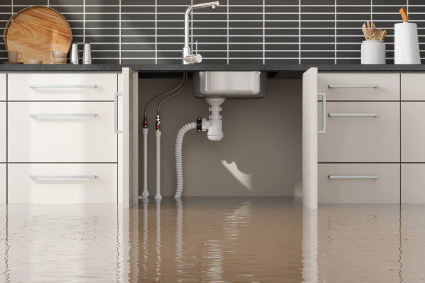 Best Water damage restoration near me  in Chatsworth, GA