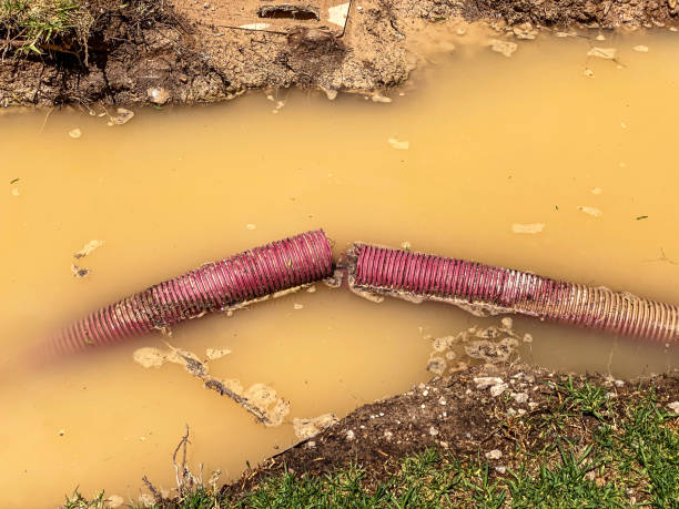 Reliable GA Water damage restoration Solutions