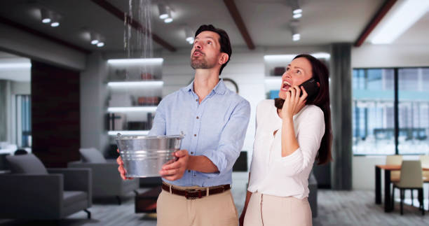Best Local water damage restoration  in Chatsworth, GA